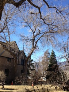 A closer view A closer view